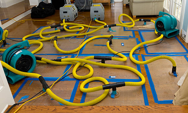 Professional Water Damage Restoration technician working in Woodville, CA